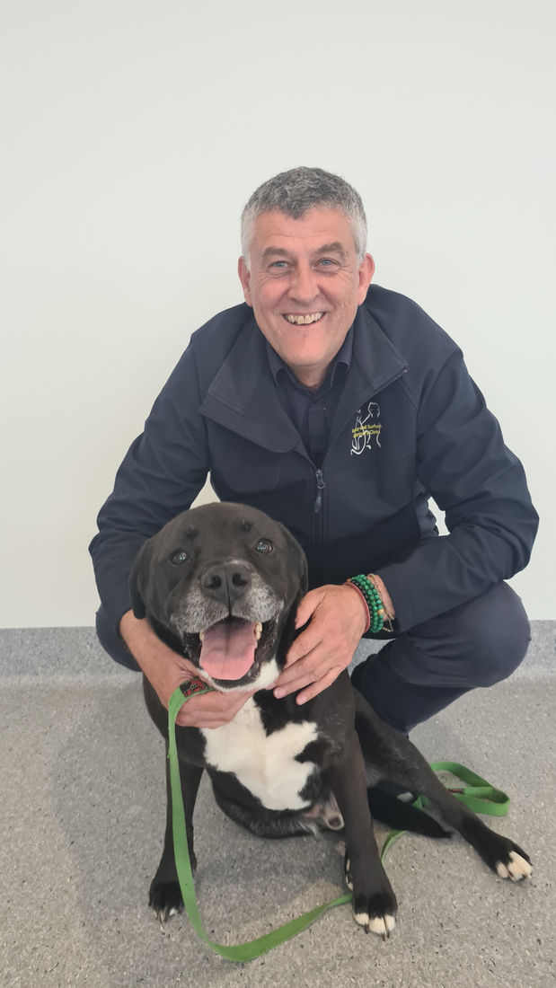 Meet Our Staff Torquay and Surfcoast Veterinary Clinics